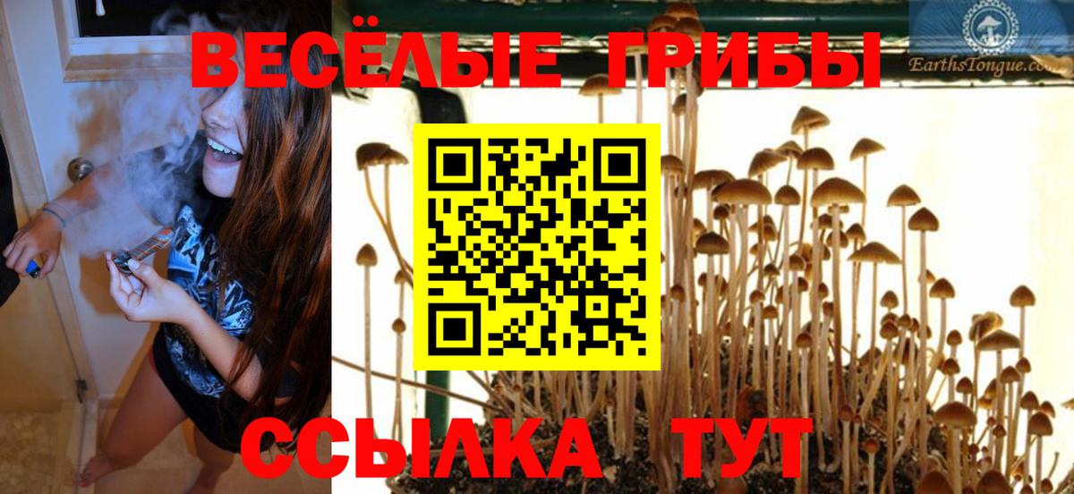 Псилоцибиновые грибы ЛСД  Вход с VPN  Таганрог  Псилоцибиновые грибы Cubensis 